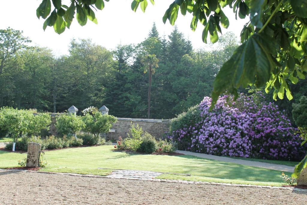 Manoir De Kerangosquer Bed and Breakfast Pont-Aven Kamer foto
